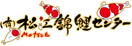 仙助（Sensuke）の鯉（Koi）は、島根県松江市の松江錦鯉センターへお任せください